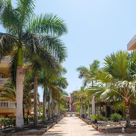 Apartamento Mar Primavera Arona (Tenerife)